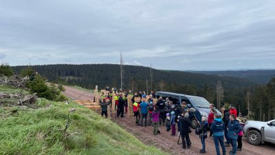 Am Greifenberg im Thüringer Wald sind 2023 neue Bäume gesetzt worden. Sie gehören zum „WM-Klimawald“, ein Projekt der Oberhofer Sport und Event GmbH und des Thüringen Forst. Fotoquelle: Oberhofer Sport und Event GmbH