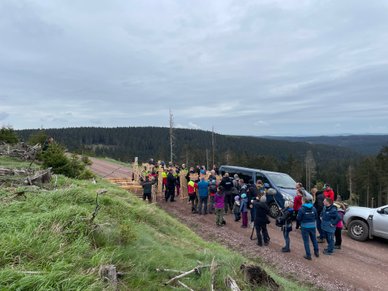 Am Greifenberg im Thüringer Wald sind 2023 neue Bäume gesetzt worden. Sie gehören zum „WM-Klimawald“, ein Projekt der Oberhofer Sport und Event GmbH und des Thüringen Forst. Fotoquelle: Oberhofer Sport und Event GmbH