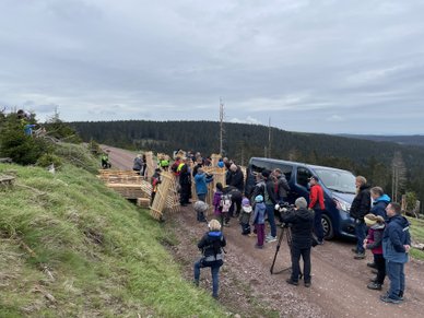 Tree planting campaign on the Greifenberg in Oberhof